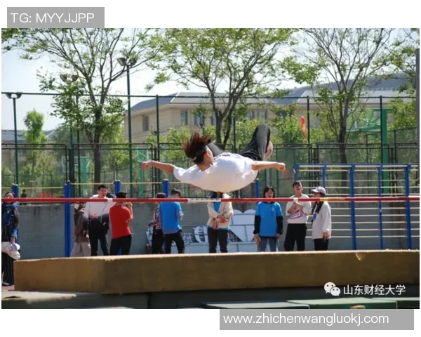 杭州排球队灵活性变革引发热议助力竞技水平提升与战术创新MBA